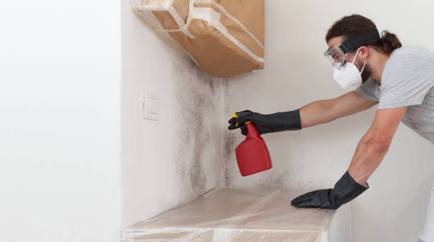 Professional Mold Remediation technician working in McGaheysville, VA
