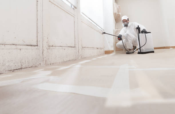 24/7 Emergency Mold Remediation experts in McGaheysville, VA