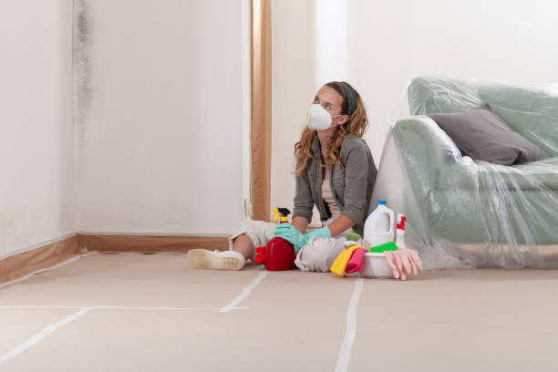 Reliable Mold Remediation contractor in McGaheysville, VA by 24 Hour Mold Removal